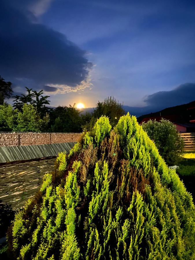 Casa Chira Hotel Viseu de Sus Luaran gambar