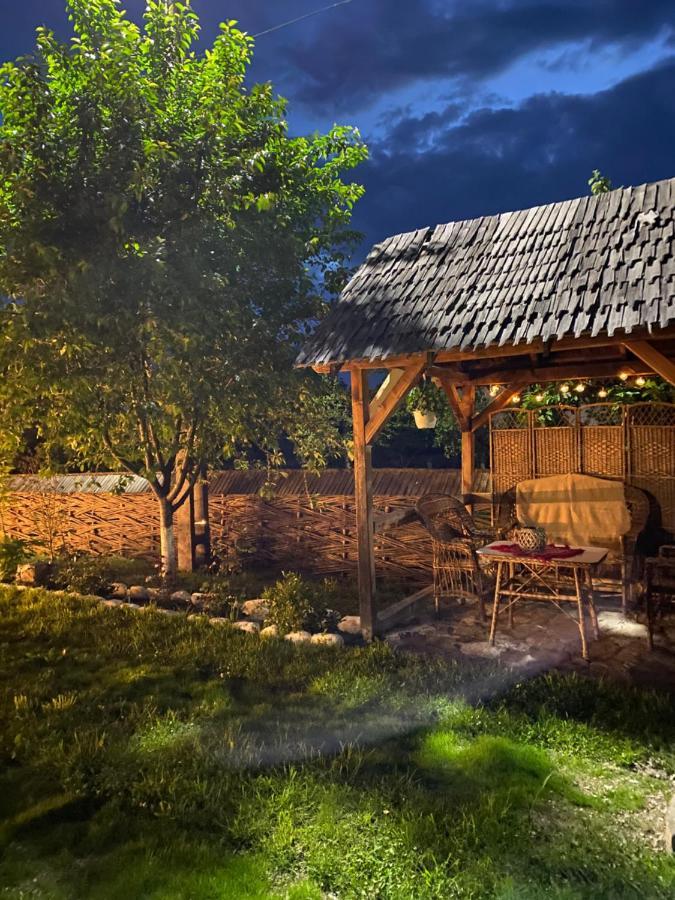 Casa Chira Hotel Viseu de Sus Luaran gambar