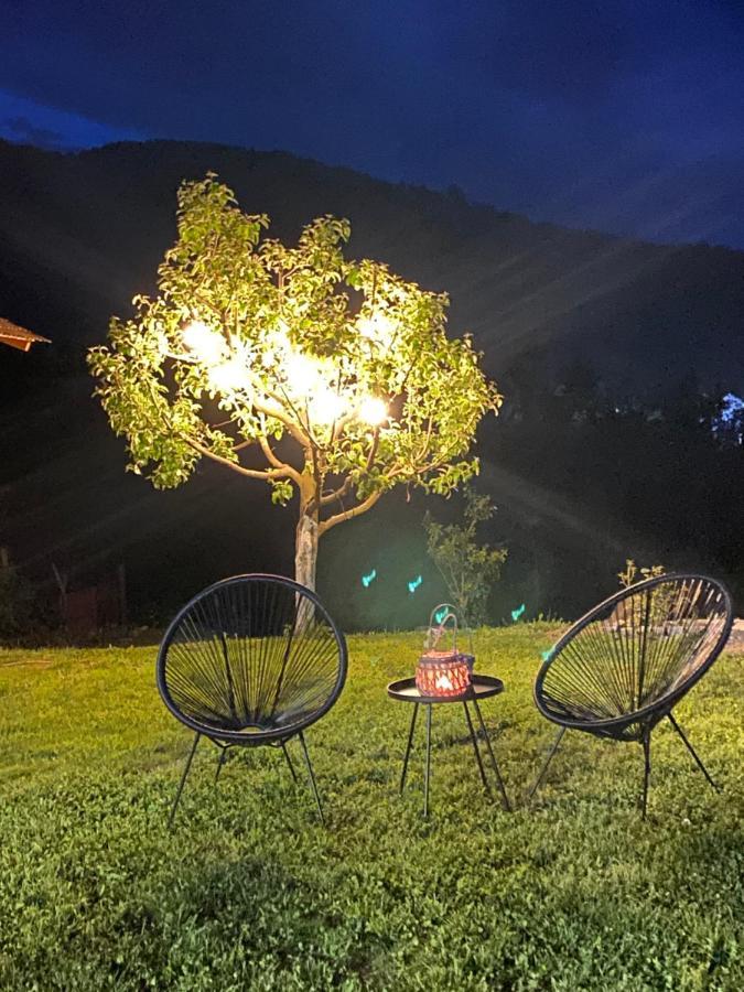 Casa Chira Hotel Viseu de Sus Luaran gambar