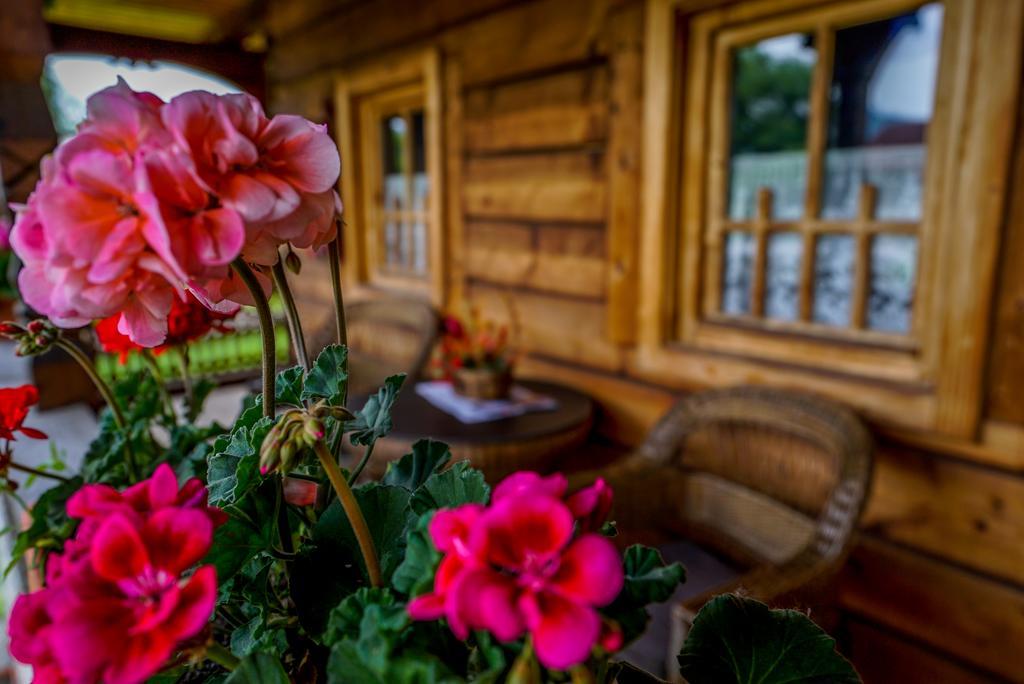 Casa Chira Hotel Viseu de Sus Luaran gambar